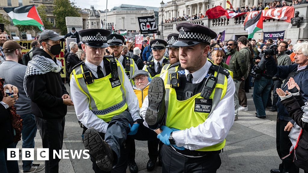 Government loses bid to block appeal against Palestine Action ban