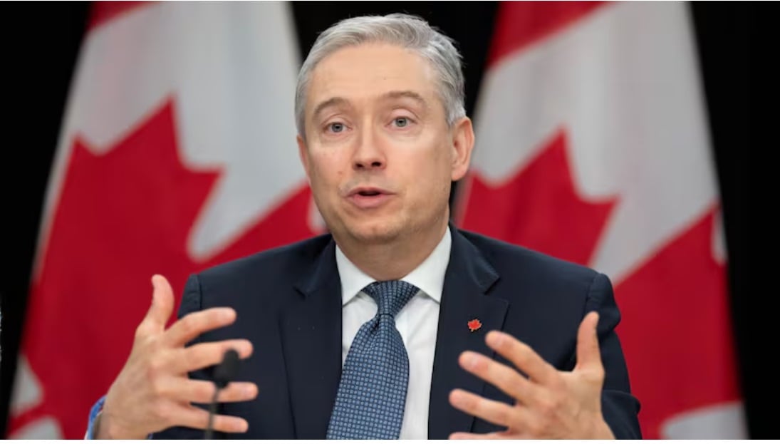 Finance Minister François-Philippe Champagne in front of a Canadian flag. 