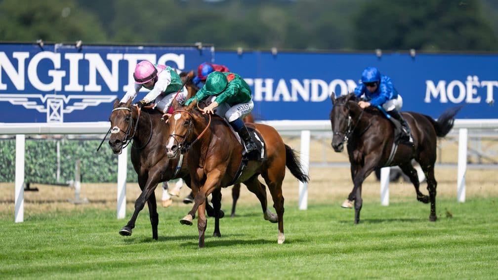 Mickael Barzalona and Calandagan are being backed to bring up the hat-trick at Ascot