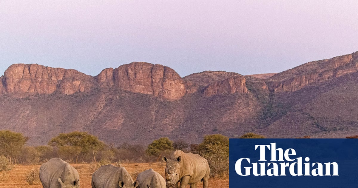 World’s landscapes may soon be ‘devoid of wild animals’, says nature photographer | Climate crisis