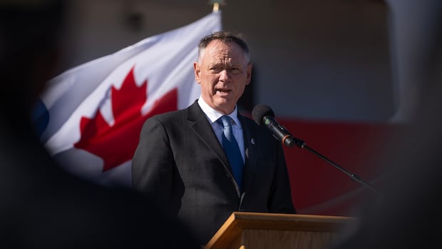 Is Canada's F-35 review irritating the United States? McGuinty suggests it's a 'misnomer'