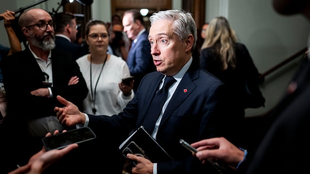 Liberals announce plan for national financial crime agency targeting online scams