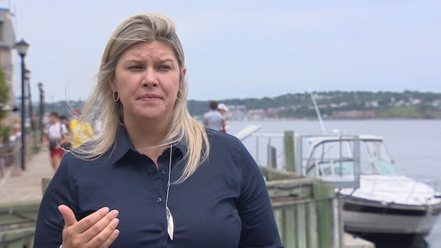 PC promise to renegotiate Churchill Falls deal has hurdles, says political scientist