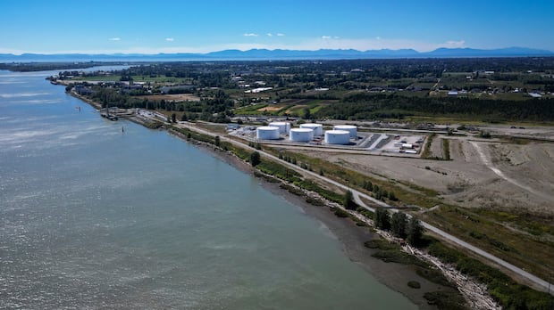 Why uncertainty over end result of Cowichan Tribes case invites plenty of speculation