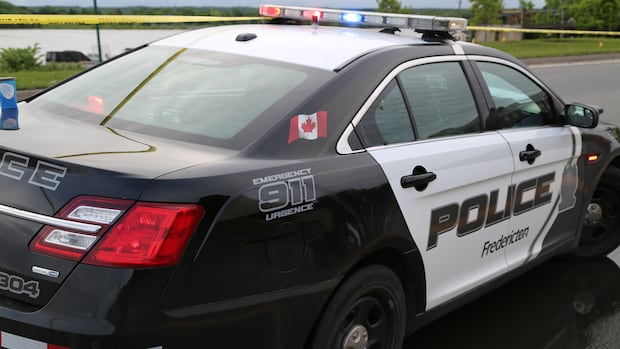 Remains of 28-year-old Fredericton woman found in woods