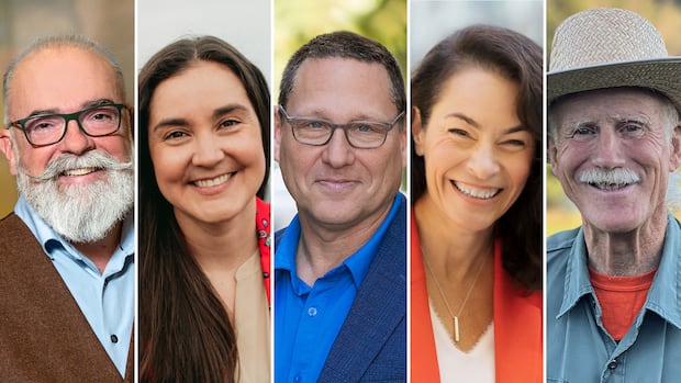 Who's in the NDP race — and why do they want to lead the party?