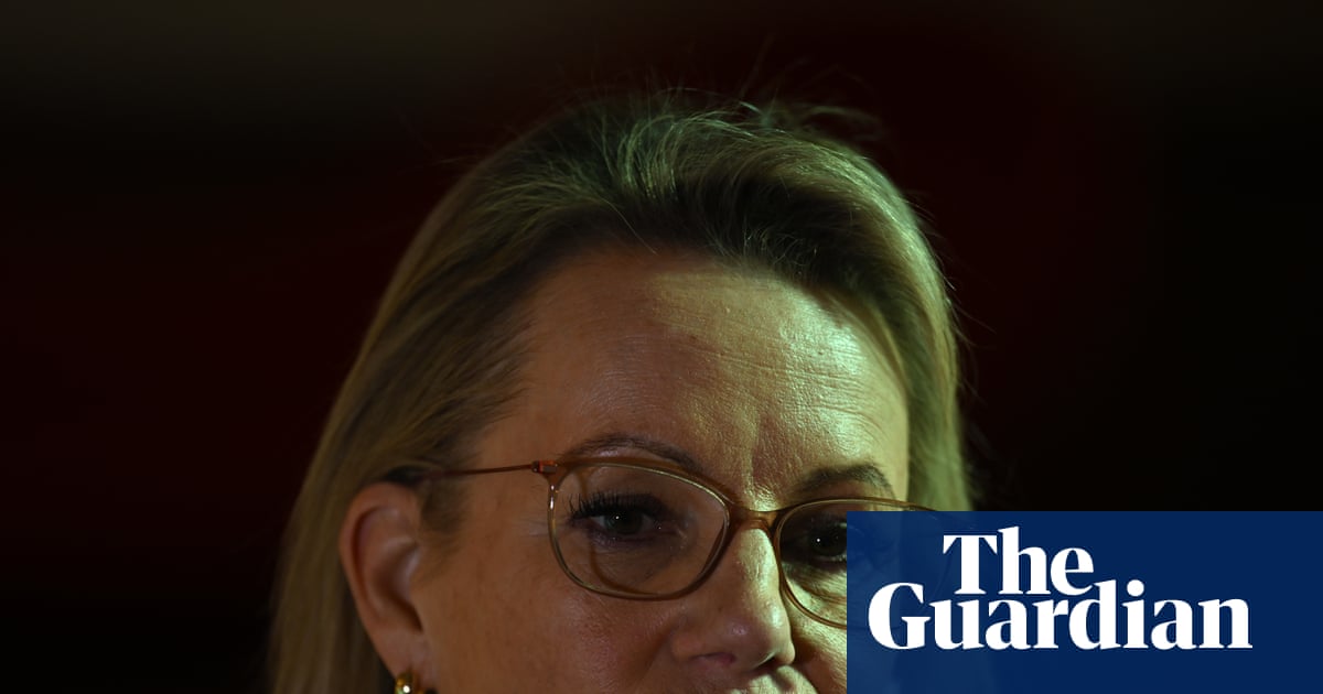 Sussan Ley’s potential net zero compromise risks tearing the Coalition apart and alienating voters on all sides | Coalition