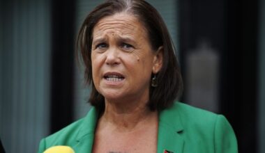 Man (30s) arrested over alleged assault on women canvassing with Mary Lou McDonald