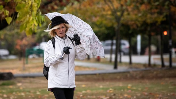 Environment Canada warns of snowfall, high winds, power outages in B.C.
