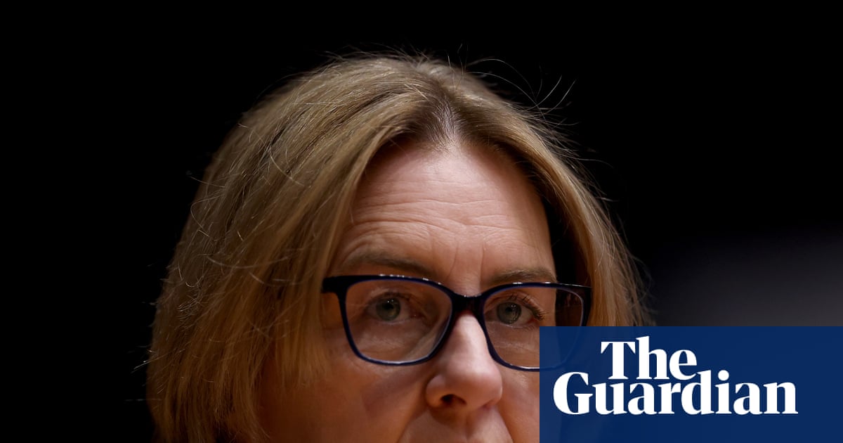 Allan says Victoria machete ban is working despite brawl at community sport event | Victoria