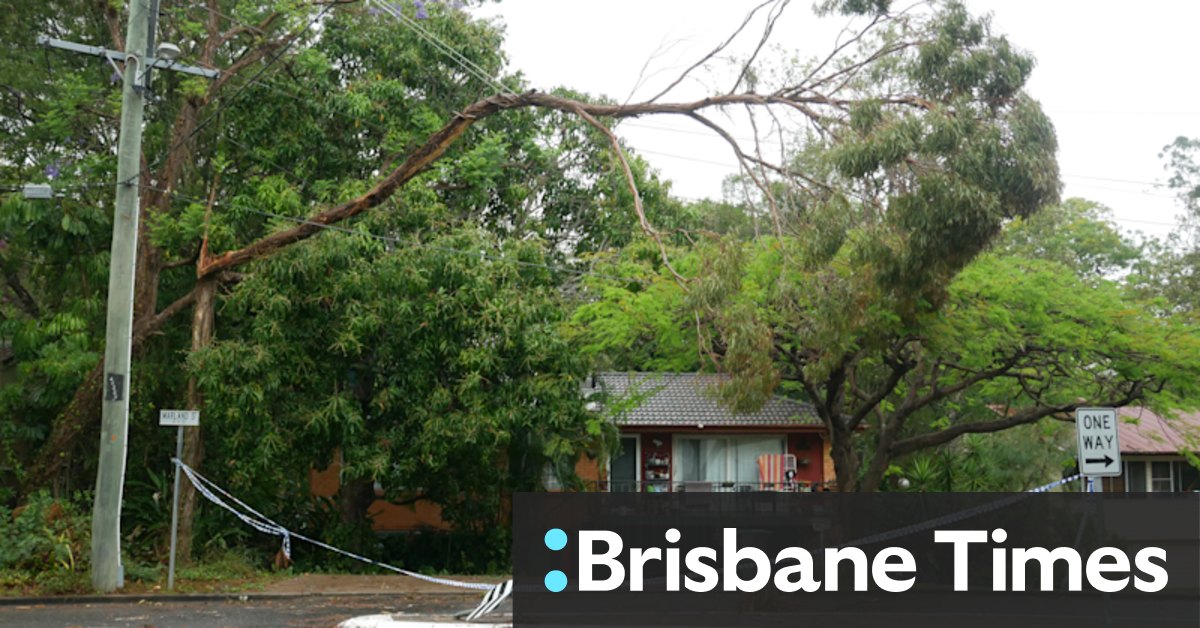 Murray Watt tells weather bureau to fix issues after Queensland blames redesign for poor notice on destructive weekend storms