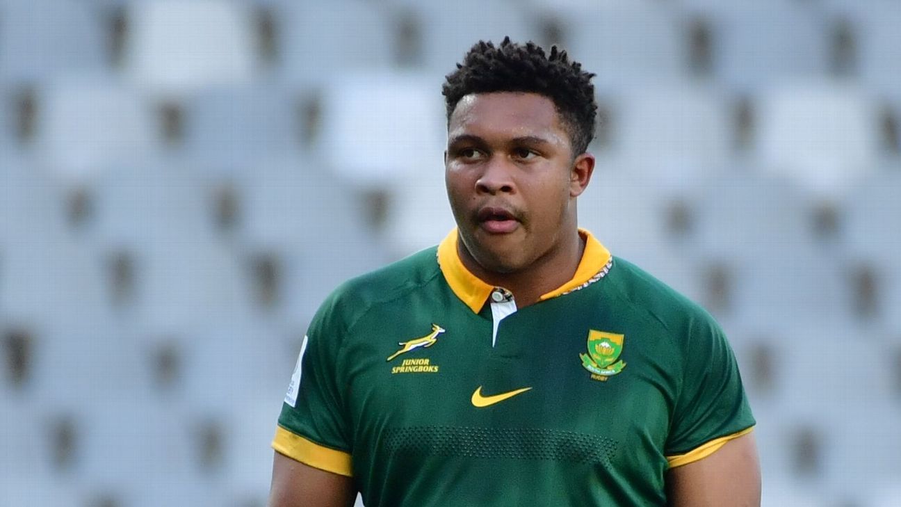 South Africa vs Japan - Debutant Zachary Porthen to start for Springboks at Twickenham