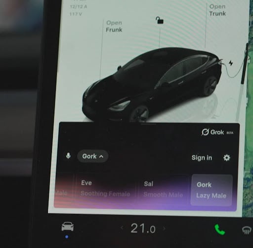 Image of a Tesla display screen