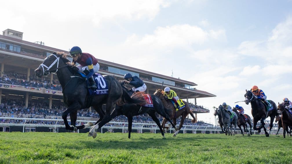 CY Fair wins the Juvenile Turf Sprint