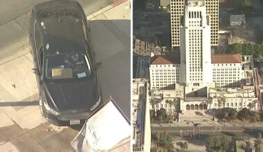 LA City Hall crash: Driver surrenders after crashing into City Hall steps, barricading in car