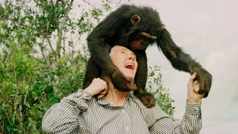 Jane Goodall: the conservationist who communed with chimps – video obituary