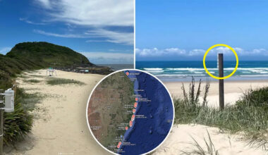 The tiny $120 features popping up on beaches around Australia