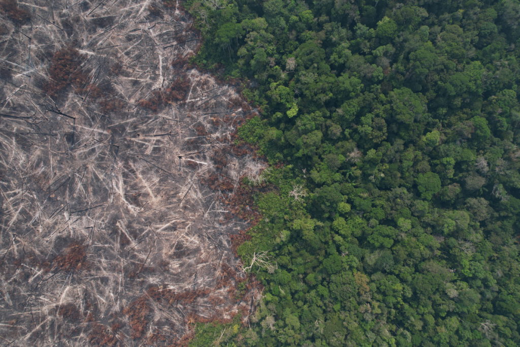 Fire rising in Amazon rainforest in Apui, Amazonas state