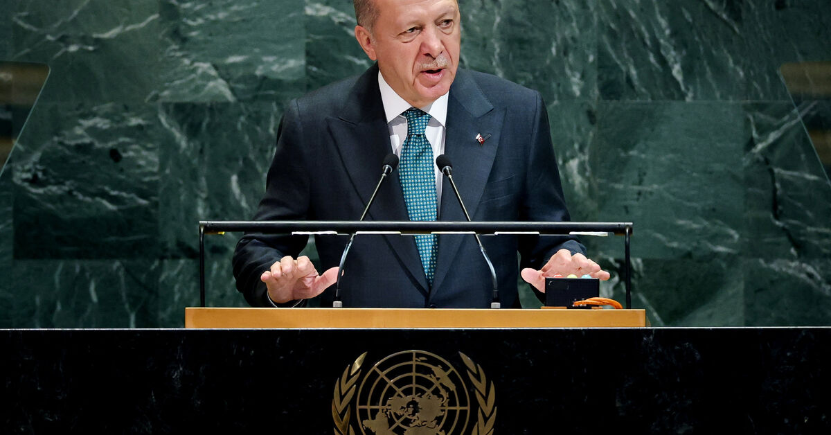 Erdogan says Turkey will not allow Syria's fragmentation