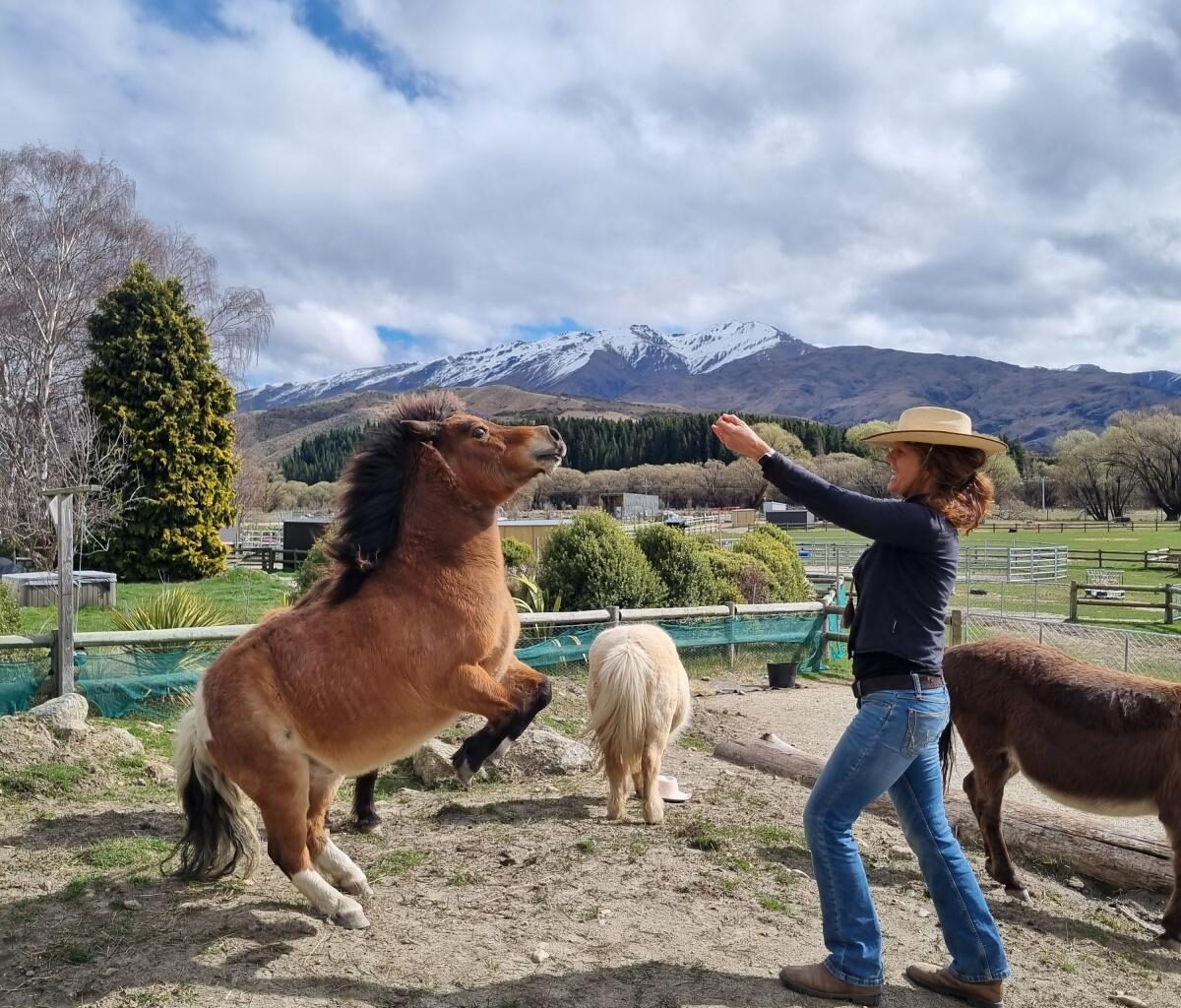 A different kind of farm