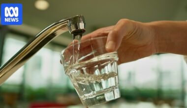 Queensland's fluoride fear to leave lasting impact on dental health for generations to come
