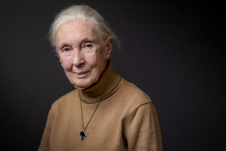 Jane Goodall.
