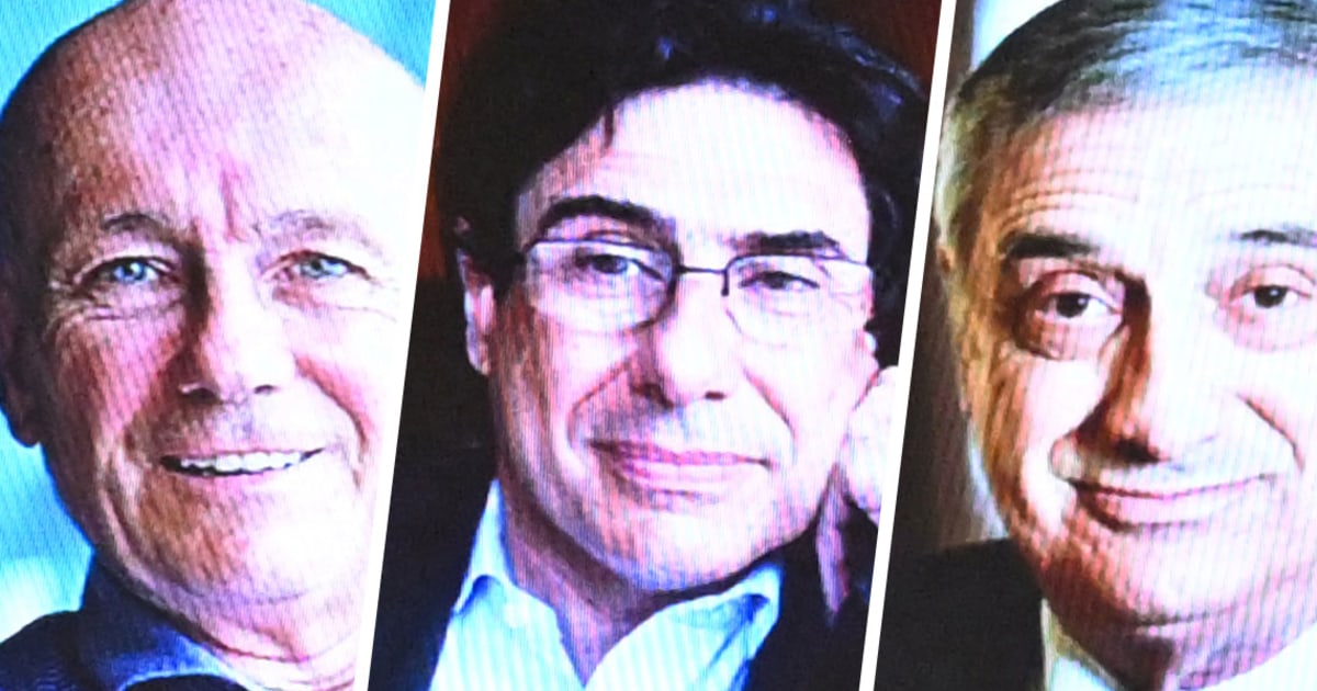 Nobel economics prize goes to 3 researchers for explaining innovation-driven economic growth