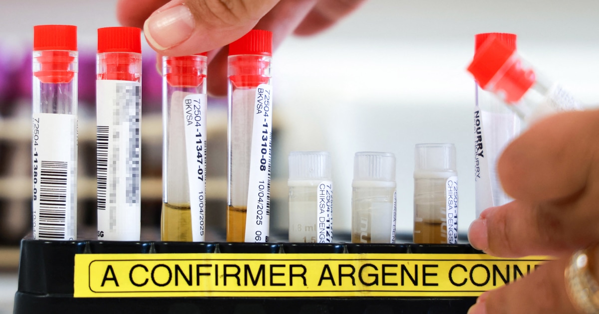 New York health officials confirm state's first locally acquired case of chikungunya virus