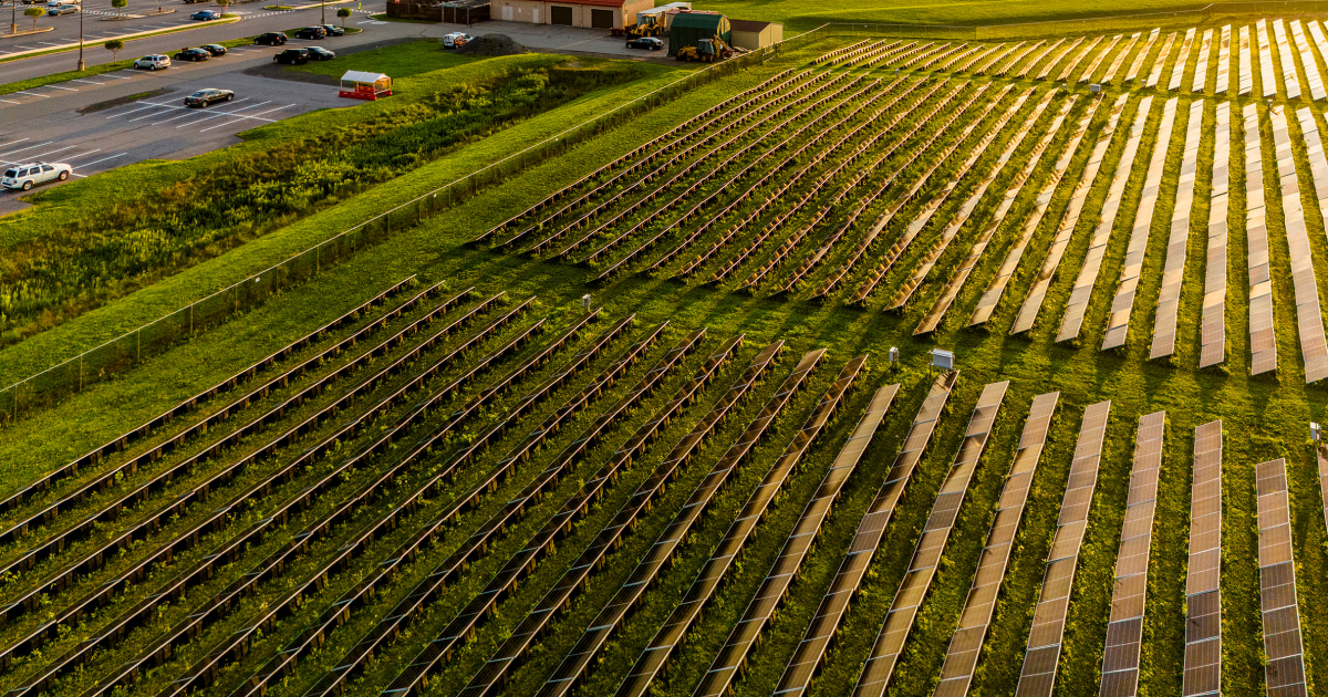 More than 20 states sue EPA over canceled solar power grants