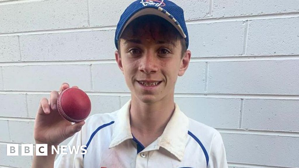 Teenage cricketer dies in Melbourne after being hit by ball