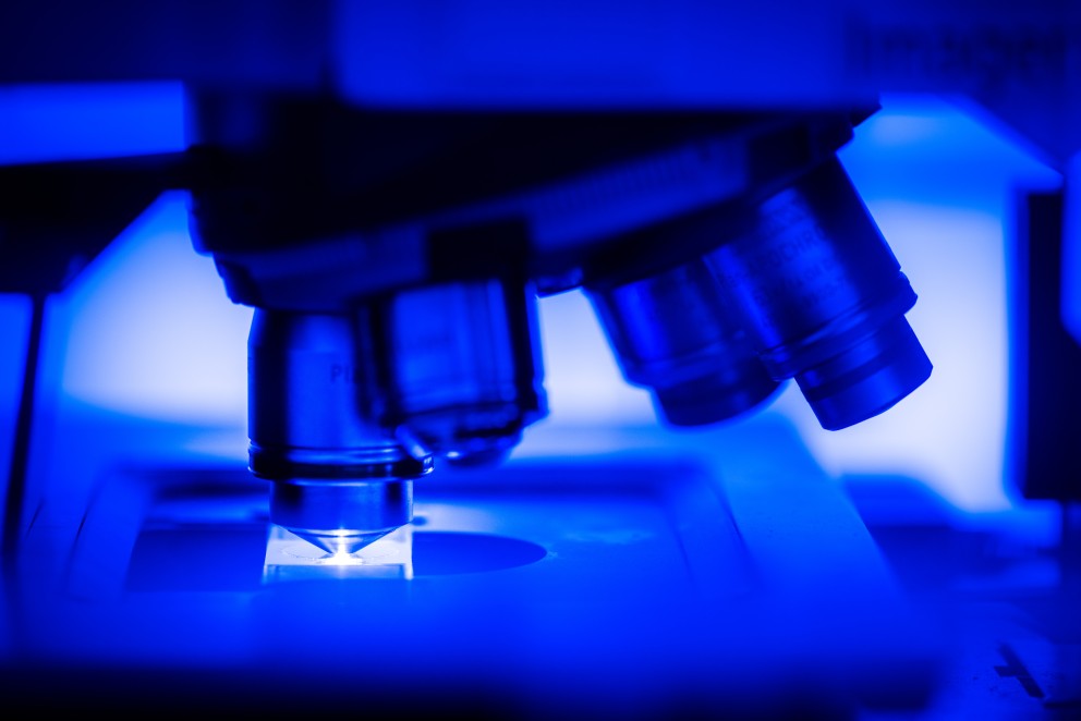 Fruit Flies Offer New Insights into How Human Alzheimer’s Disease Risk Genes Affect the Brain