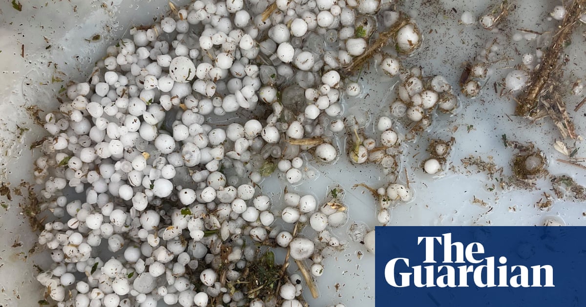 Nearly 25,000 without power in Queensland and outages in Victoria after state’s wettest day in more than a year | Australia weather