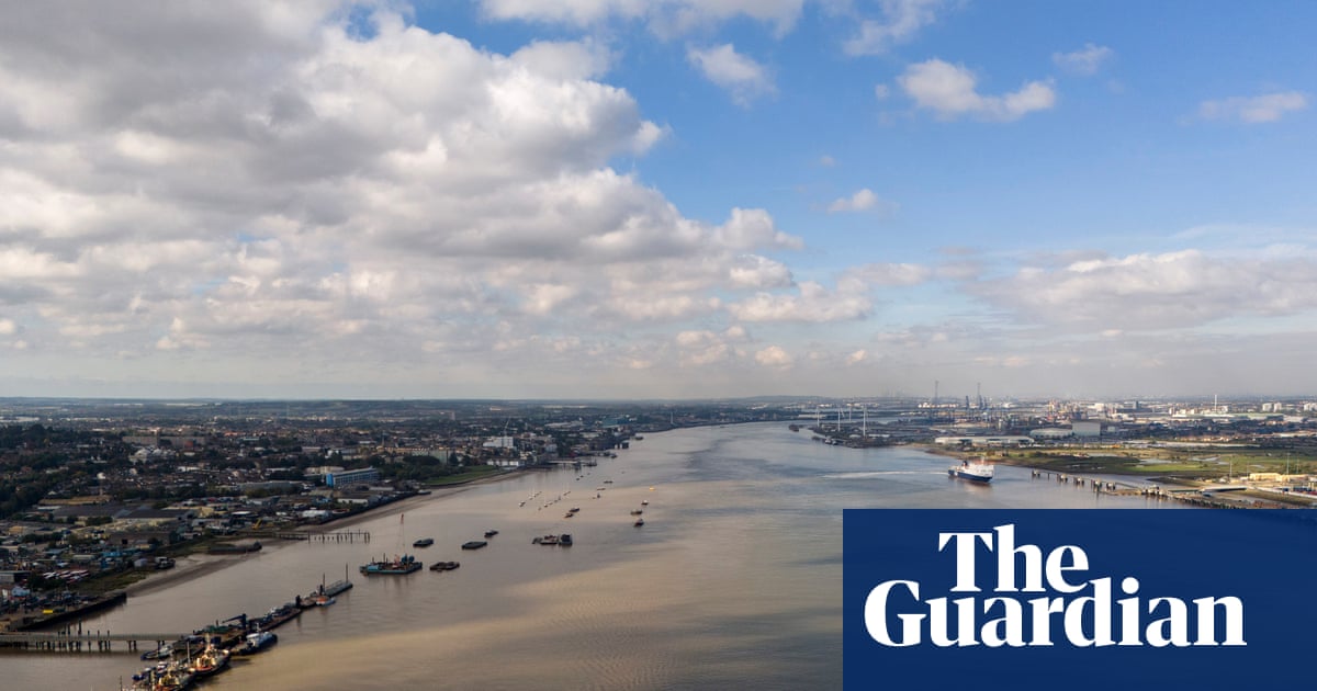 UK ministers take control of £10bn Lower Thames Crossing | Infrastructure