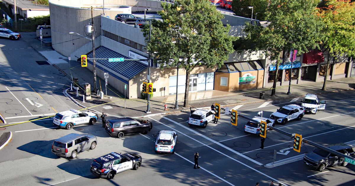 Suspect arrested in Surrey, B.C., after shots fired near police office, SkyTrain station - CTV News
