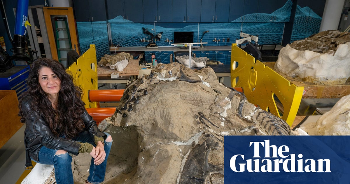 Researchers discover new tyrannosaur species in ‘duelling dinosaurs’ fossil | Dinosaurs