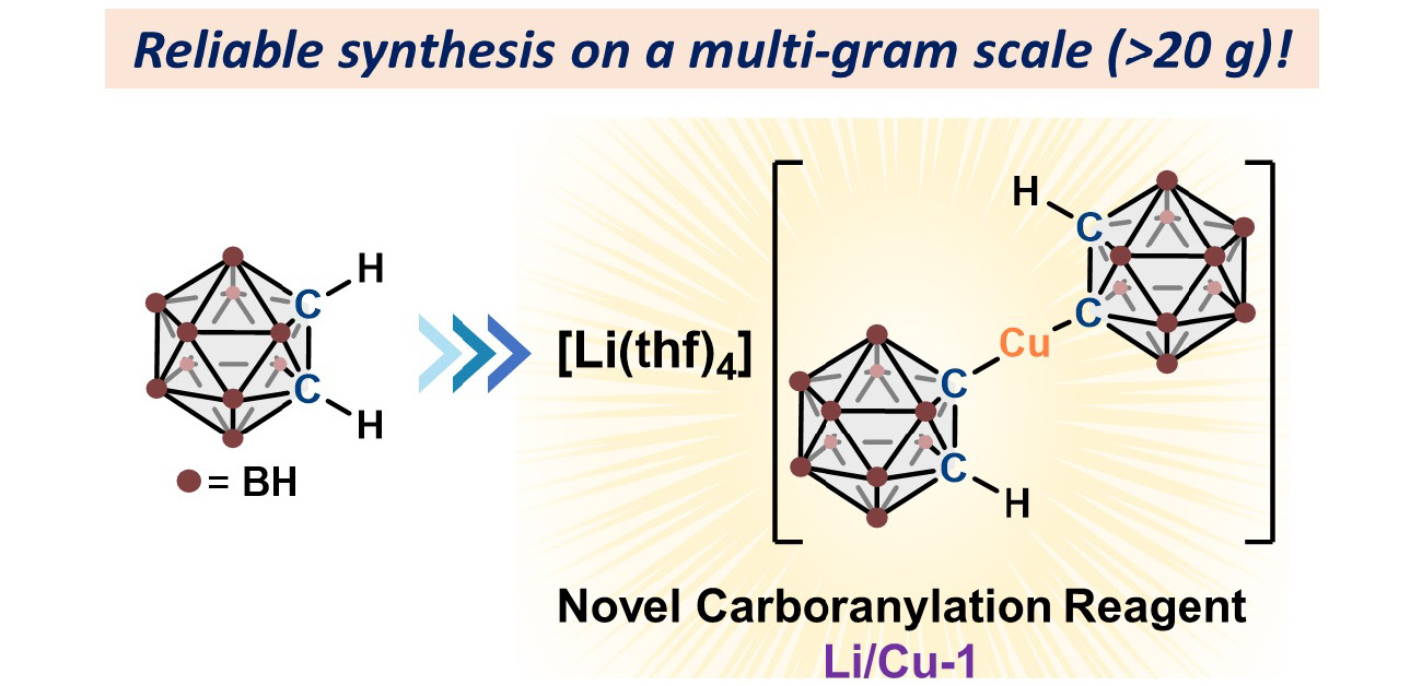 Chemists Unveil Fast, Safe Carborane Synthesis Method