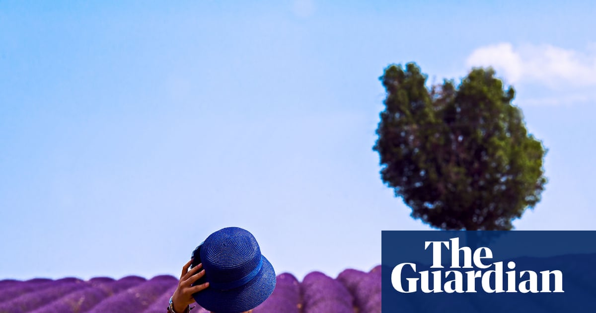 Holiday horrors: Airbnb and Booking.com users battle for refunds as stays go wrong | Consumer rights