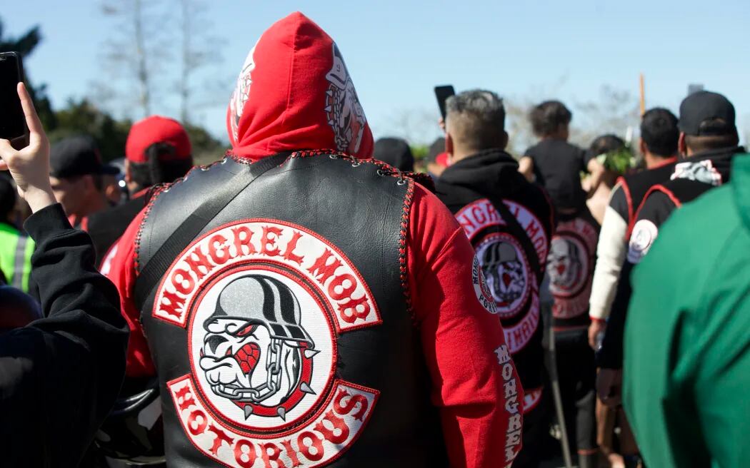 SunLive - Police to appeal gang patch return rulings