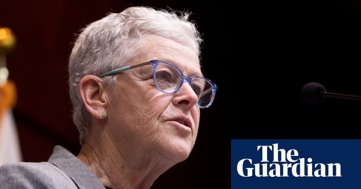 Ex-EPA head urges US to resist Trump attacks on climate action: ‘We won’t become numb’ | United Nations