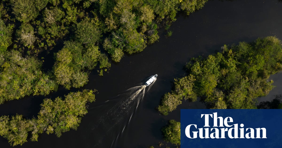 Brazil greenlights oil drilling in Amazon as environmentalists raise alarm | Brazil