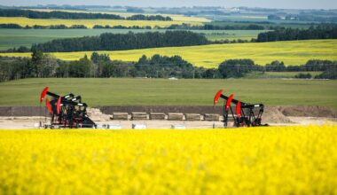 Ottawa faces pressure after China offers deal on canola, EV tariffs - CTV News