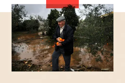 AFP via Getty Images A man recovers oranges from a tree, with the ground flooded below


