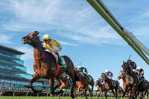Craig Williams rides Sir Delius to a Turnbull Stakes win at Flemington earlier this month.
