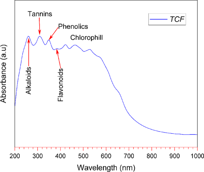 Electrochemical and computational investigation of Tinospora cordifolia fractions as a novel corrosion inhibitor for carbon steel in seawater medium