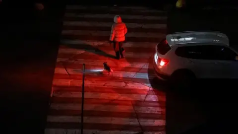 Reuters A woman crosses a street with her dog during a power blackout in Kyiv