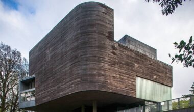 Ireland’s only known dinosaurs to go on public display for the first time at UCC