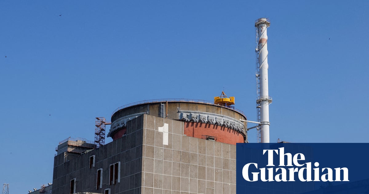 Ukraine war briefing: Repairs begin in bid to restore power to Zaporizhzhia nuclear plant | Ukraine