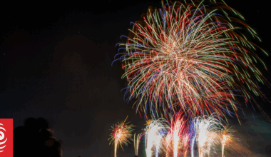 With Guy Fawkes Day approaching, will New Zealand ever ban fireworks?