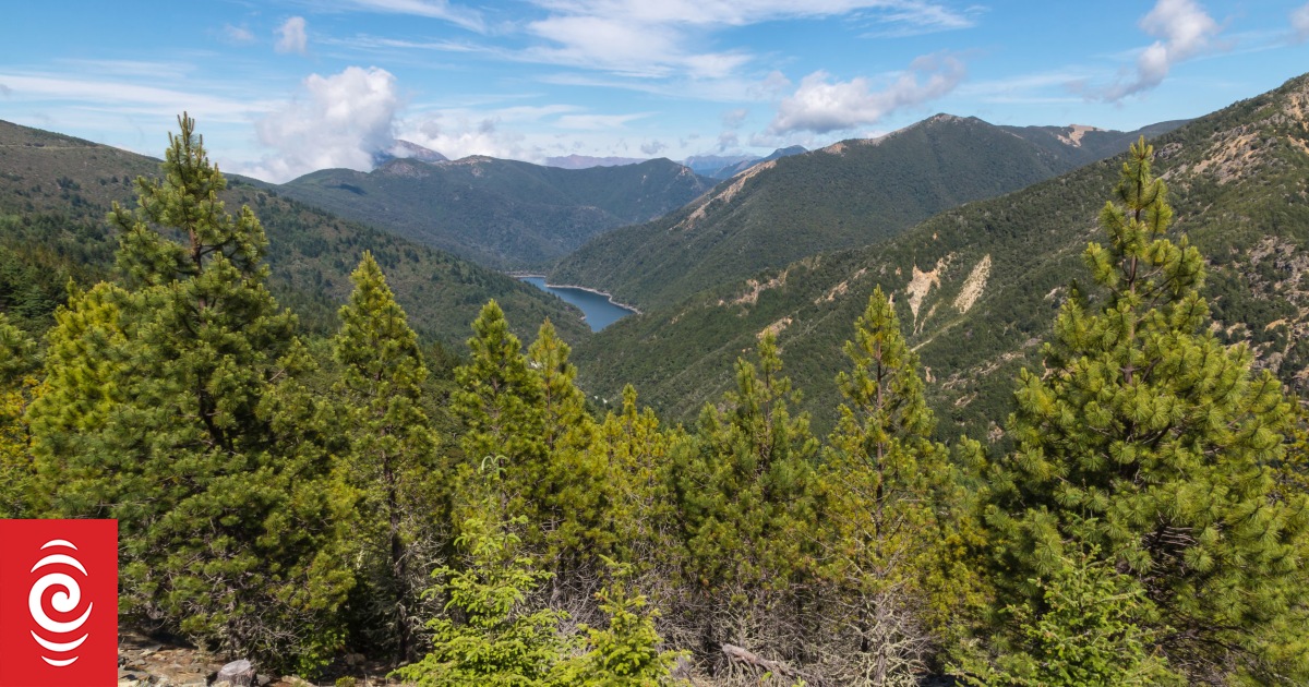 Teen friends killed as car rolls 98m on mountain in drunk crash