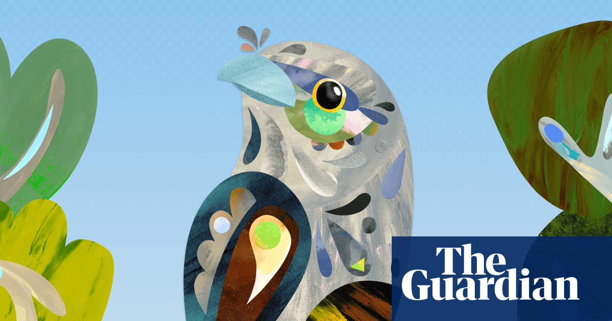 Tawny frogmouth named 2025 Australian bird of the year winner | Australian bird of the year 2025